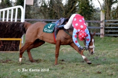 The Folly, 11th February 2018 # 46 - Copy