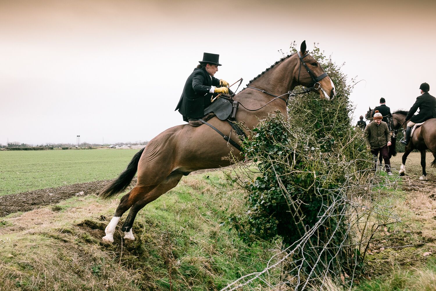 Hunt Ball Ward Union Hunt